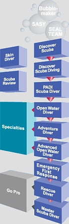 Ausbildungsweg zum PADI Divemaster